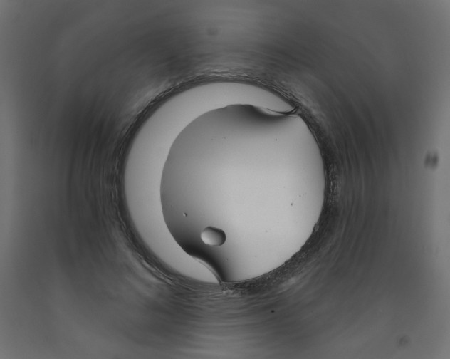 X0000091850692200710031641