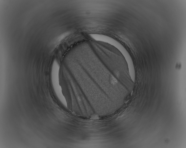 X0000091850693200710031641