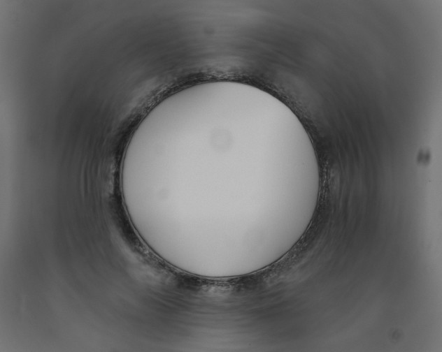 X0000091850694200710031641