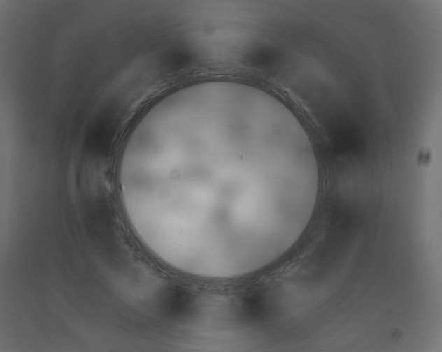 X0000091850695200710031641