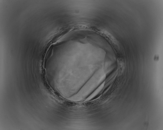 X0000091850696200710031641