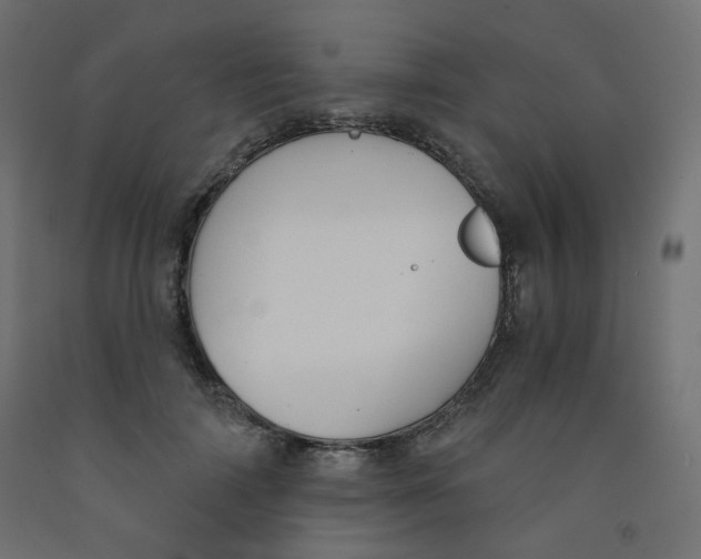 X0000091850698200710031641