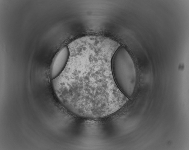 X0000091850699200710031641