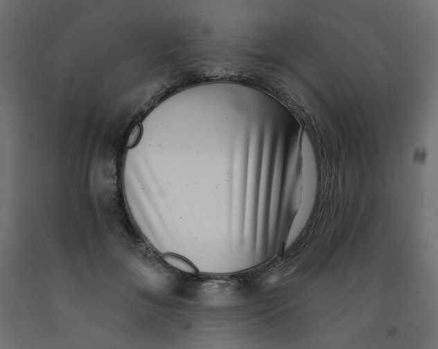 X0000091850700200710031641