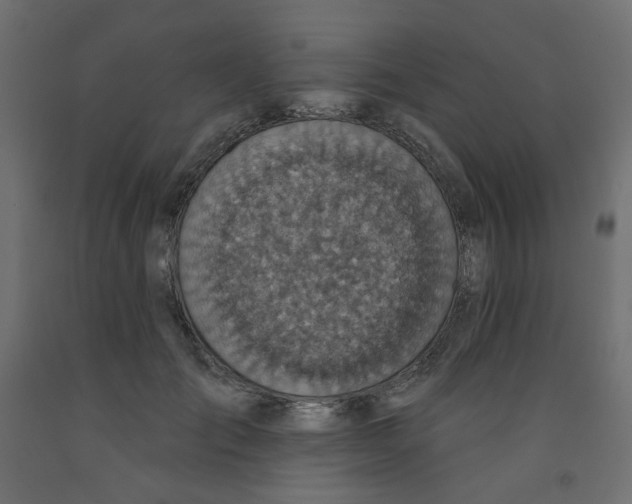 X0000091850701200710031641