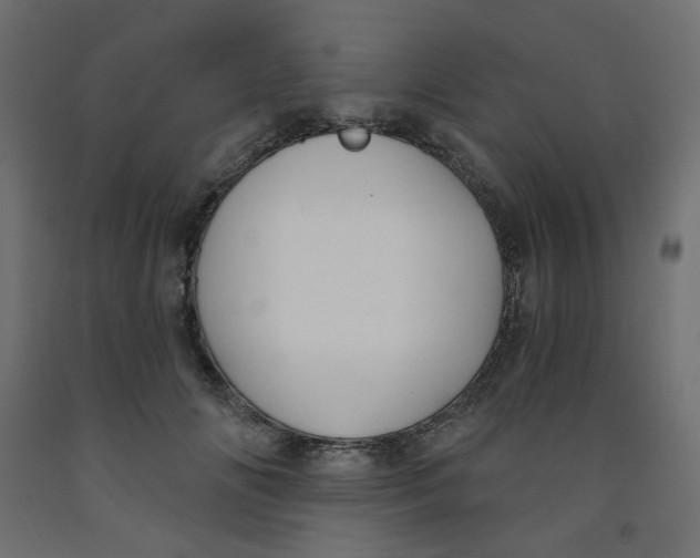 X0000091850702200710031641
