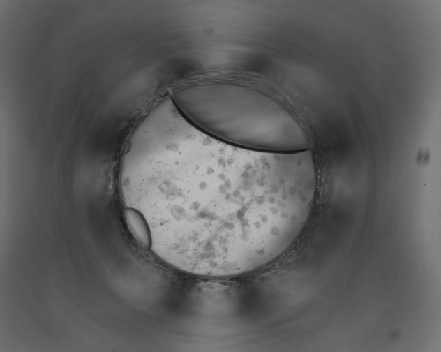 X0000091850703200710031641