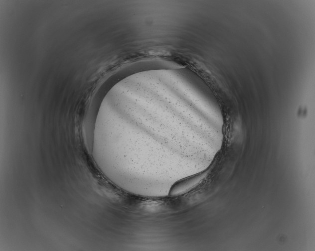 X0000091850704200710031641