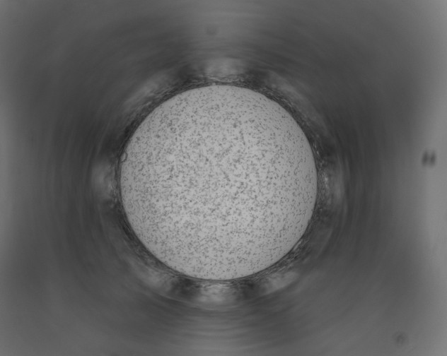 X0000091850705200710031641