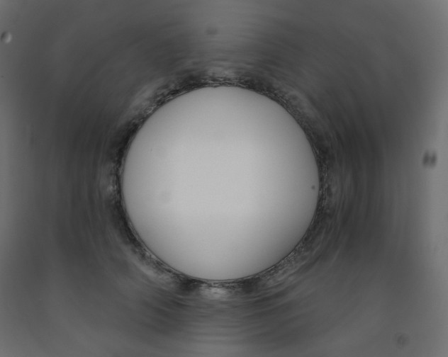X0000091850706200710031641