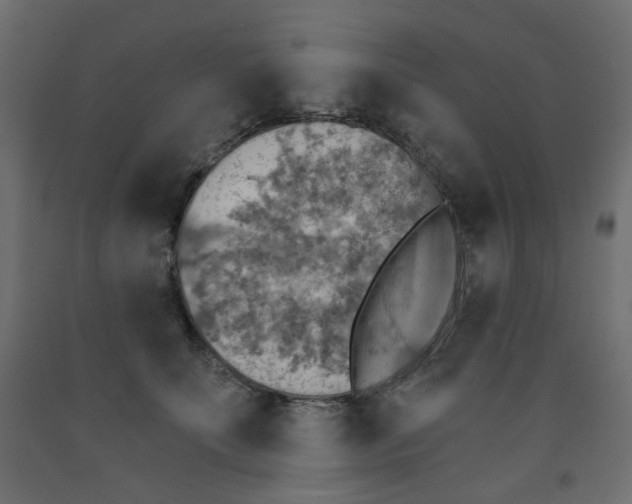 X0000091850707200710031641