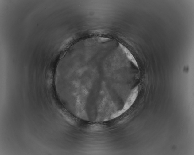 X0000091850708200710031641