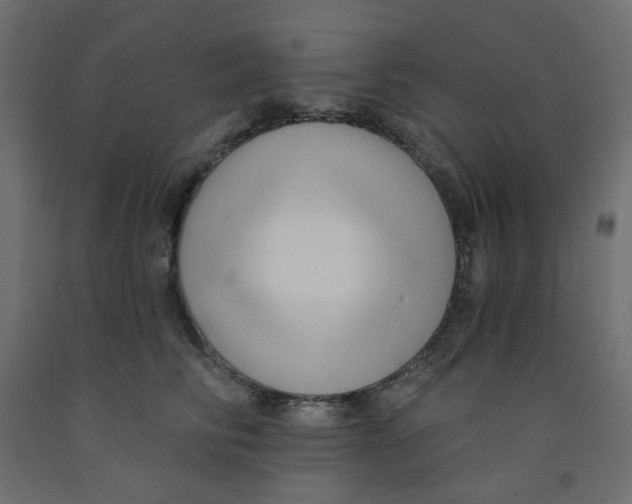 X0000091850710200710031641