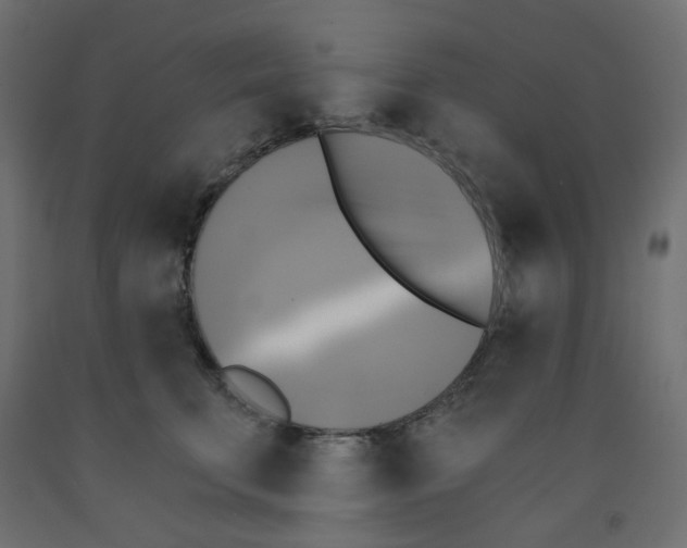 X0000091850711200710031641