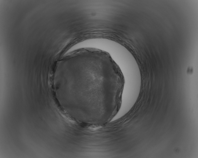 X0000091850712200710031641