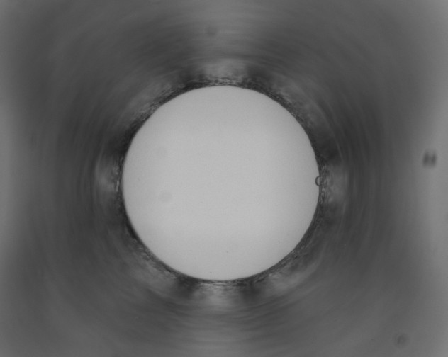 X0000091850713200710031641