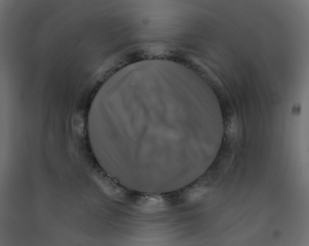 X0000091850715200710031641