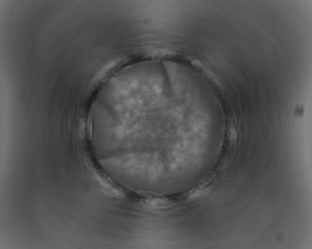 X0000091850716200710031641