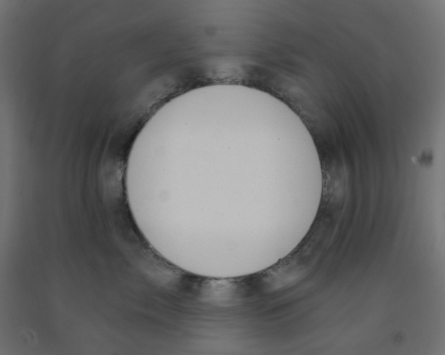 X0000091850717200710031641