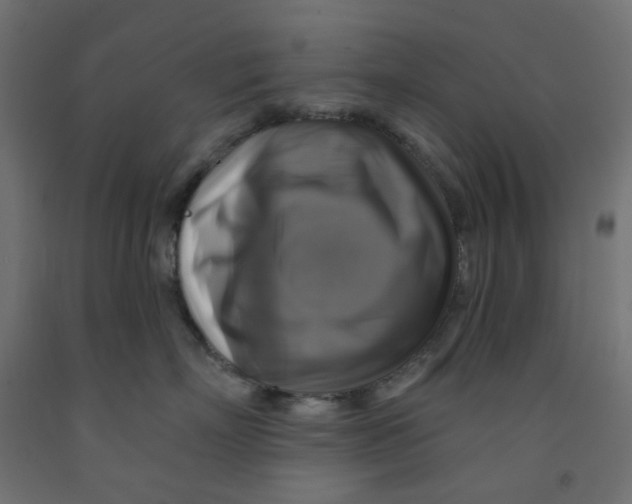 X0000091850718200710031641