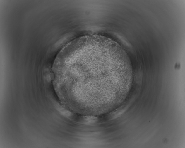 X0000091850719200710031641