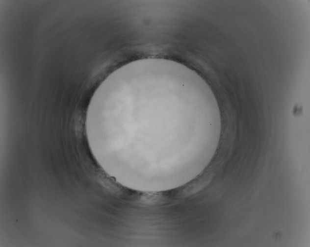 X0000091850720200710031641