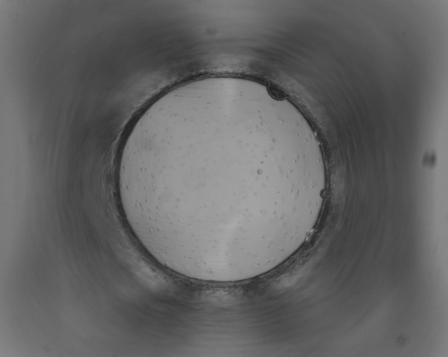 X0000091850721200710031640