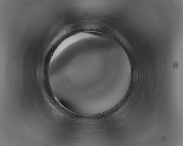 X0000091850722200710031640