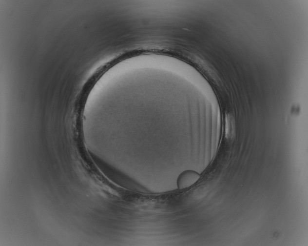 X0000091850723200710031640