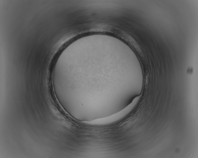 X0000091850724200710031640
