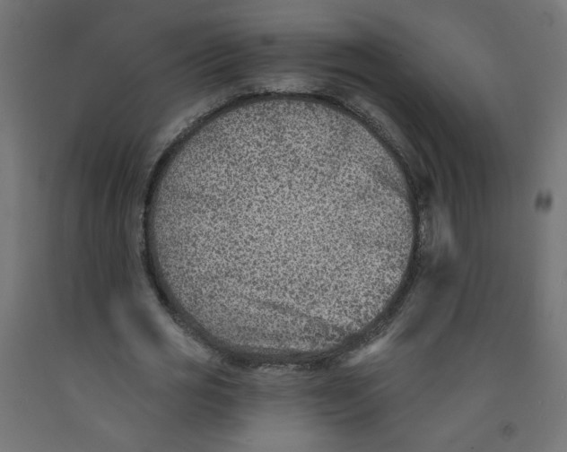 X0000091850725200710031640