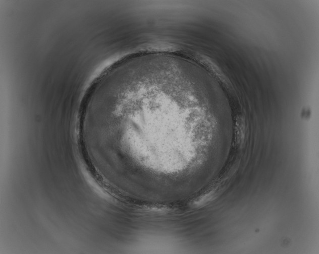 X0000091850726200710031640