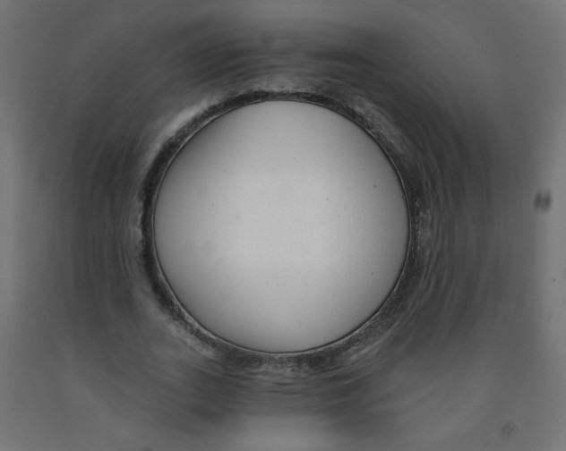 X0000091850727200710031640