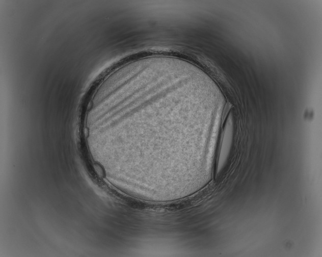 X0000091850728200710031640