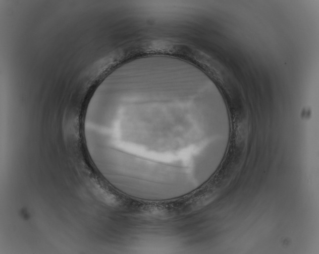 X0000091850729200710031640