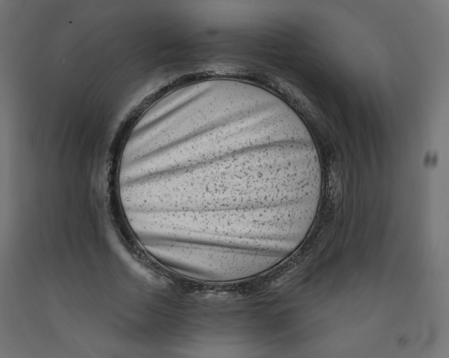 X0000091850730200710031640