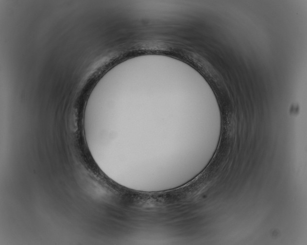 X0000091850731200710031640
