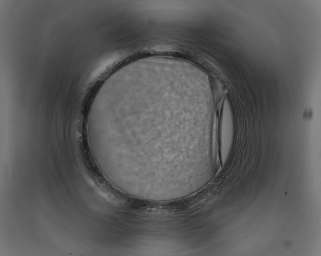 X0000091850732200710031640