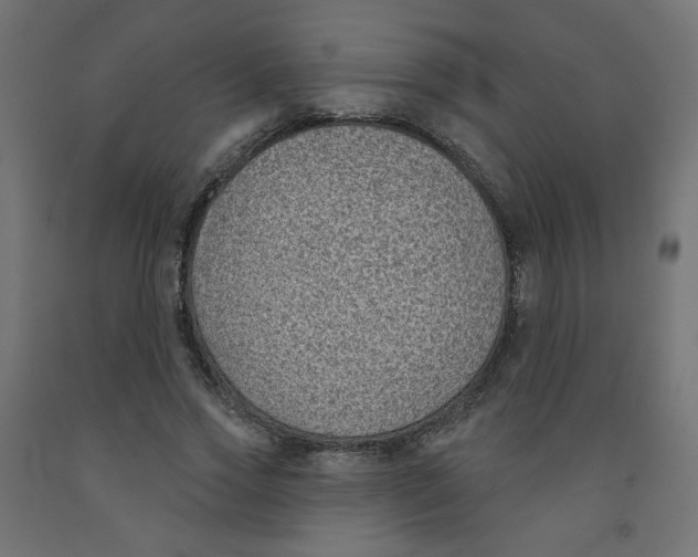 X0000091850733200710031640