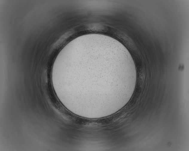 X0000091850734200710031640