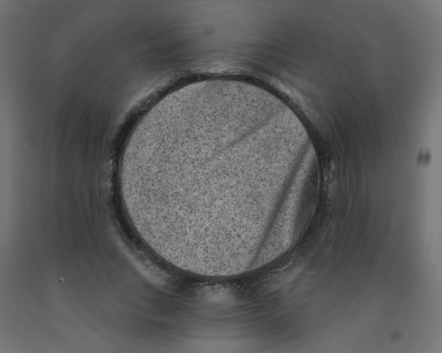 X0000091850735200710031640