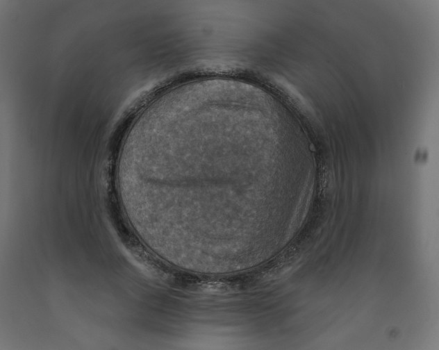 X0000091850736200710031640