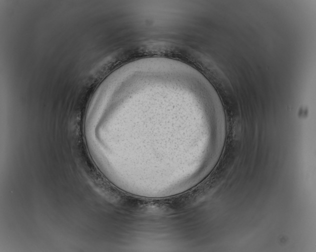X0000091850737200710031640