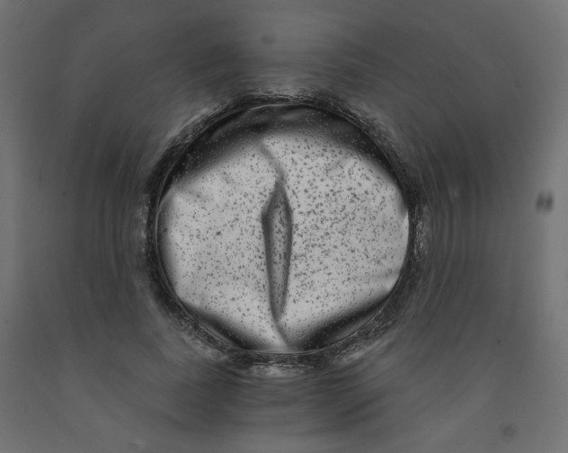 X0000091850739200710031640
