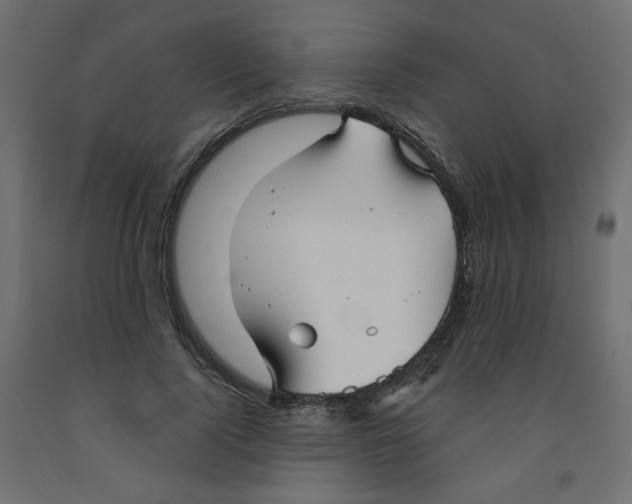 X0000091850740200710031640
