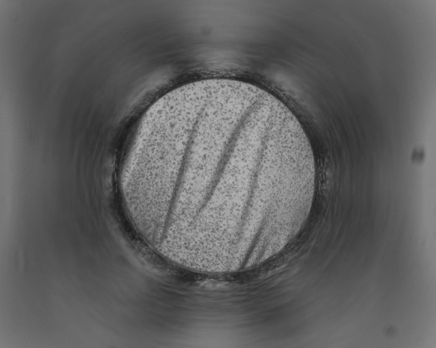 X0000091850742200710031640