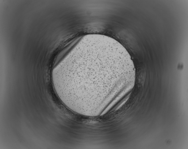 X0000091850743200710031640