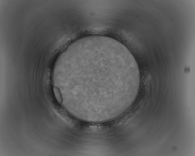 X0000091850744200710031640