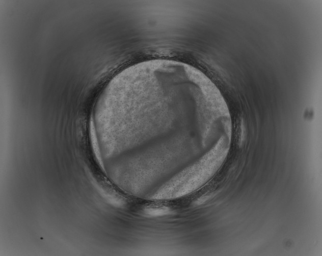 X0000091850747200710031641
