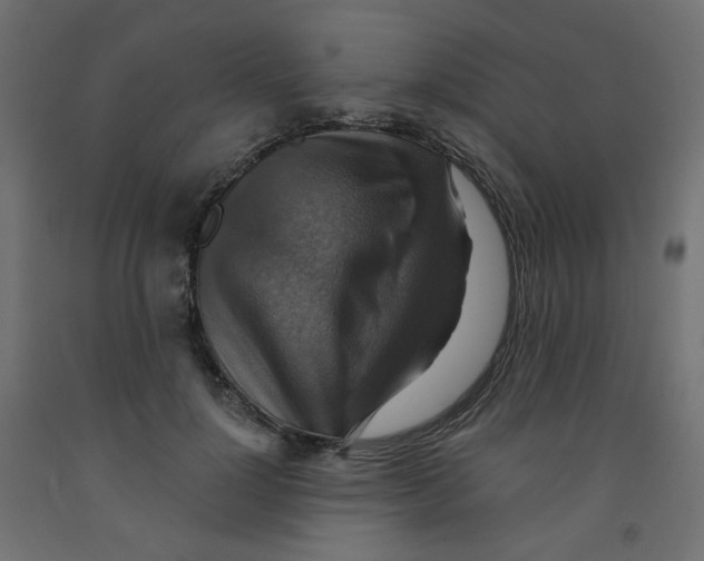 X0000091850748200710031641